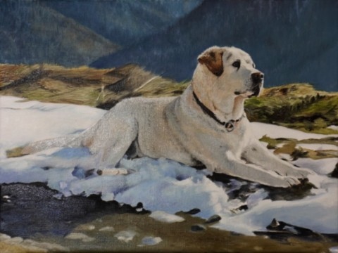 art-process-labrador-retriever-oil-painting