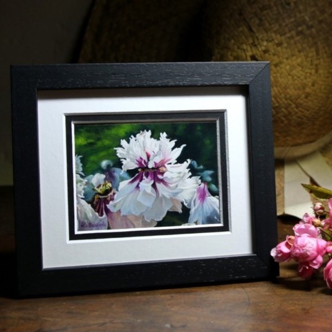 Framed miniature painting of a tree peony by Laurence Saunois, artist