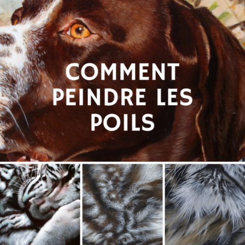 Comment peindre les poils par l'artiste Laurence Saunois