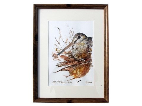Framed woodcock drawing made by Laurence Saunois, wildlife artist