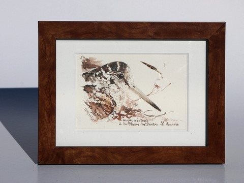 Woodcock drawn with a woodcock's feather by Laurence Saunois, animal artist - framed. (pp34)