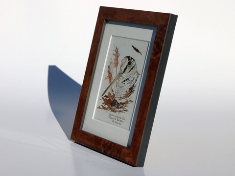 Woodcock drawn with a woodcock's feather by Laurence Saunois, animal artist - frame. (pp35)