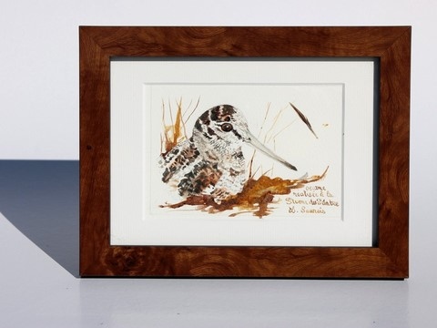 Woodcock drawn with a woodcock's feather by Laurence Saunois, animal artist - framed (pp41)