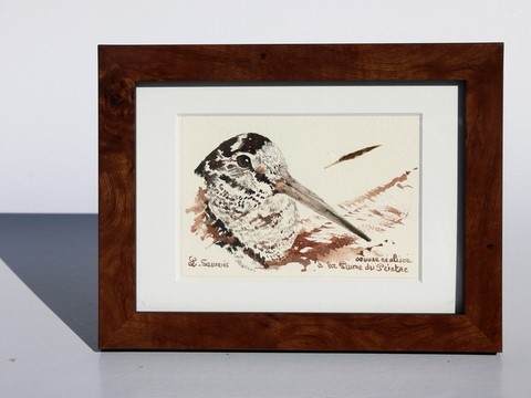 Dessin de bécasse encadré réalisée à la plume du peintre par Laurence Saunois, peintre animalier (pp43)