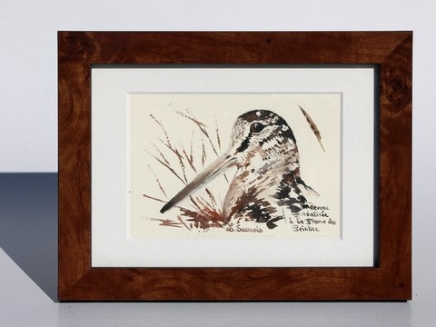 Woodcock drawn with a woodcock's feather by Laurence Saunois, animal artist - framed (pp44)