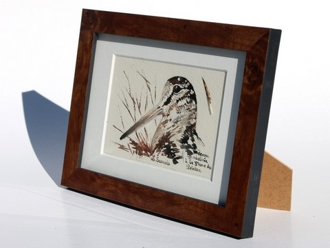 Dessin de bécasse (cadre) réalisée à la plume du peintre par Laurence Saunois, peintre animalier (pp44)