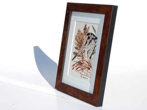 Dessin de bécasse (cadre) réalisée à la plume du peintre par Laurence Saunois, peintre animalier (pp45)