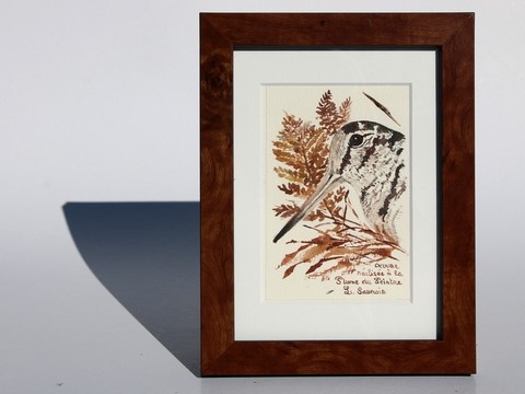 Woodcock drawn with a woodcock's feather by Laurence Saunois, animal artist - framed. (pp45)