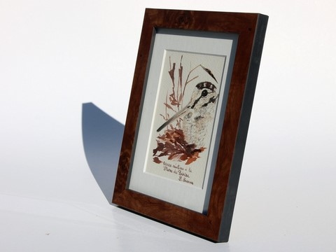 Woodcock drawn with a woodcock's feather by Laurence Saunois, animal artist - frame. (pp46)