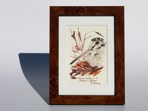 Dessin de bécasse encadré réalisée à la plume du peintre par Laurence Saunois, peintre animalier (pp46)