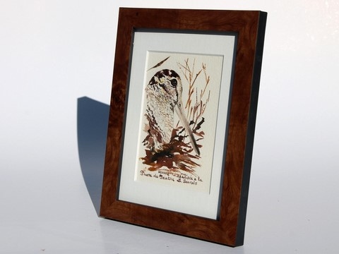 Dessin de bécasse (cadre) réalisée à la plume du peintre par Laurence Saunois, peintre animalier (pp47)