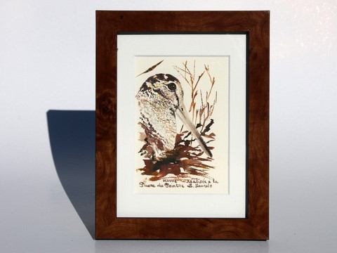 Woodcock drawn with a woodcock's feather by Laurence Saunois, animal artist - framed (pp47)
