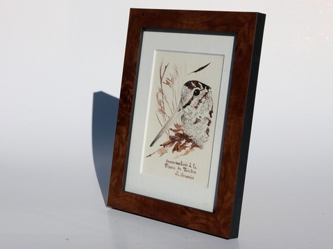 Dessin de bécasse (cadre) réalisée à la plume du peintre par Laurence Saunois, peintre animalier (pp48)