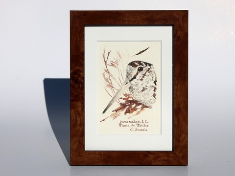 Woodcock drawn with a woodcock's feather by Laurence Saunois, animal artist - framed (pp48)