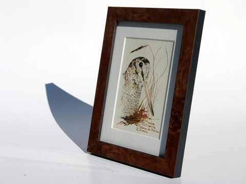 Dessin de bécasse (cadre) réalisée à la plume du peintre par Laurence Saunois, peintre animalier (pp40)