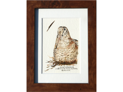Woodcock drawn with a woodcock's feather by Laurence Saunois, animal artist - framed (pp50)