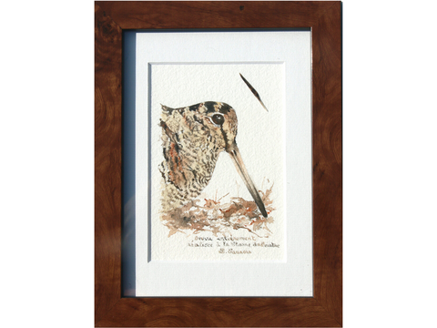 Woodcock drawn with a woodcock's feather by Laurence Saunois, animal artist - frame (pp51)