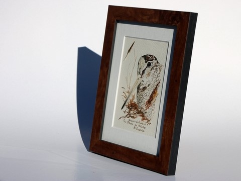 Woodcock drawn with a woodcock's feather by Laurence Saunois, animal artist - framed. (pp38)