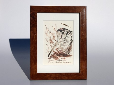 Woodcock drawn with a woodcock's feather by Laurence Saunois, animal artist - framed. (pp37)