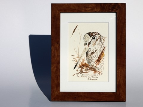 Woodcock drawn with a woodcock's feather by Laurence Saunois, animal artist - frame. (pp38)