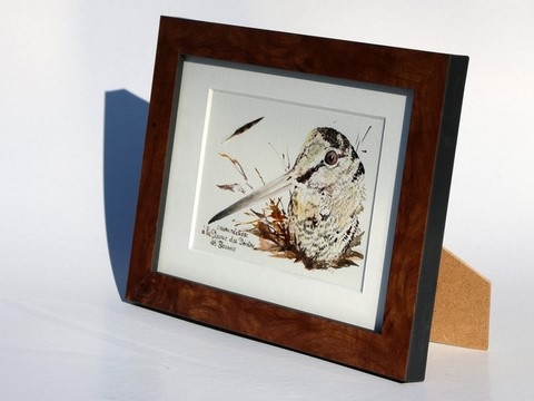 Dessin de bécasse (cadre) réalisée à la plume du peintre par Laurence Saunois, peintre animalier (pp39)