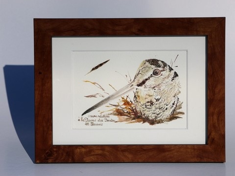 Woodcock drawn with a woodcock's feather by Laurence Saunois, animal artist - framed (pp39)