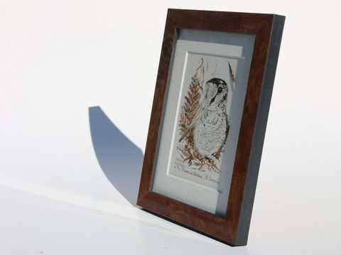 Dessin de bécasse (cadre) réalisée à la plume du peintre par Laurence Saunois, peintre animalier (pp42)