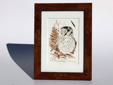 Woodcock drawn with a woodcock's feather by Laurence Saunois, animal artist - framed. (pp42)