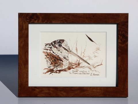 Dessin de bécasse encadré réalisée à la plume du peintre par Laurence Saunois, peintre animalier