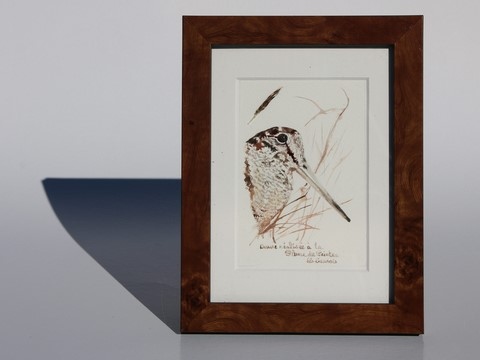 Dessin encadré de bécasse réalisée à la plume du peintre par Laurence Saunois, peintre animalier