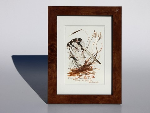 Woodcock drawing, framed, done with a woodcock feather by Laurence Saunois, animal artist.