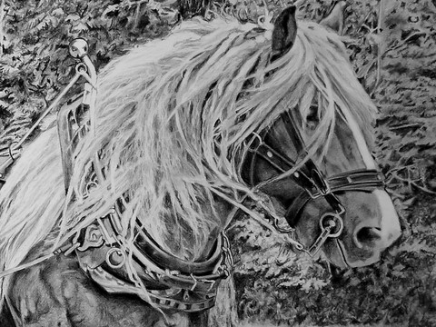 Dessin de cheval au débardage (détails) : Laurence Saunois, Peintre animalier