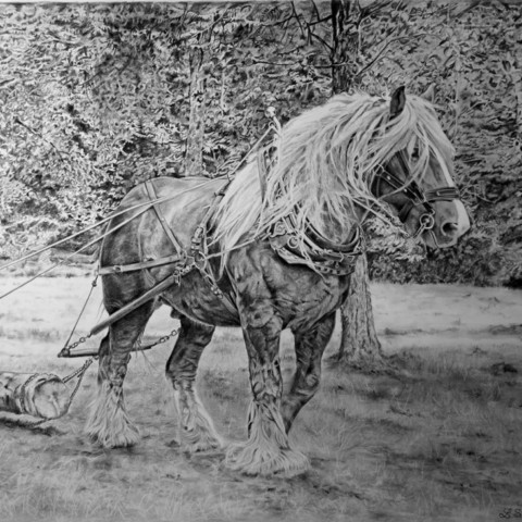 Drawing of a logging scene in graphite pencils by Laurence Saunois, wildlife artist