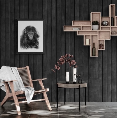  Charcoal artwork of a young chimpanzee displayed in a living room – wildlife artist Laurence Saunois