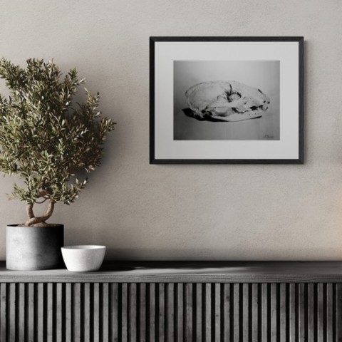 Painting of a framed badger skull in a setting above a piece of furniture by Laurence Saunois, wildlife artist