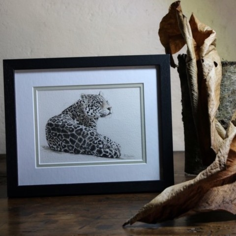 Dessin d'Framed drawing of a lying jaguar in a setting