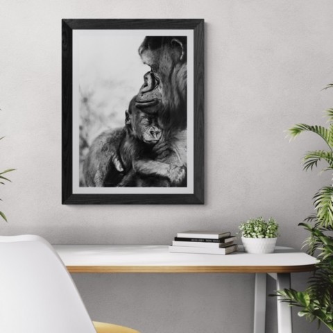  Charcoal artwork of a gorilla with its sleeping baby displayed above a desk – wildlife artist Laurence Saunois