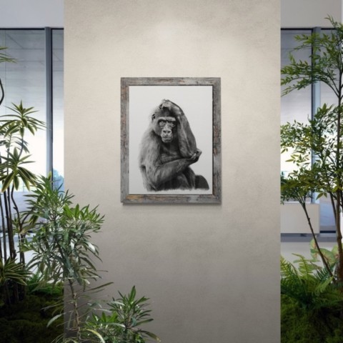 “Charcoal drawing of a gorilla portrait displayed in a hall - wildlife artist Laurence Saunois