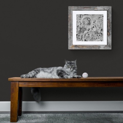 Drawing of sparrows, framed, with a cat lying on a bench by Laurence Saunois, artist