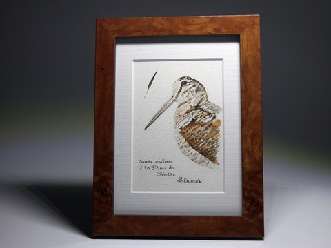 Woodcock drawn with a woodcock's feather by Laurence Saunois, animal artist - frame (pp16)