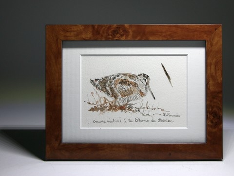 Dessin de bécasse encadré réalisée à la plume du peintre par Laurence Saunois, peintre animalier (pp17)