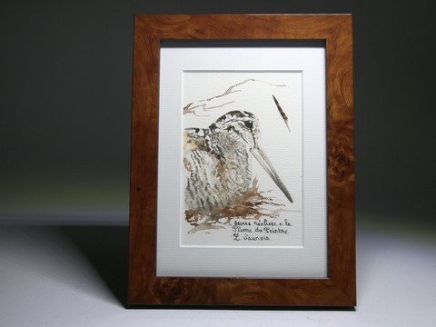 Woodcock drawn with a woodcock's feather (framed) by Laurence Saunois, animal artist (pp18)