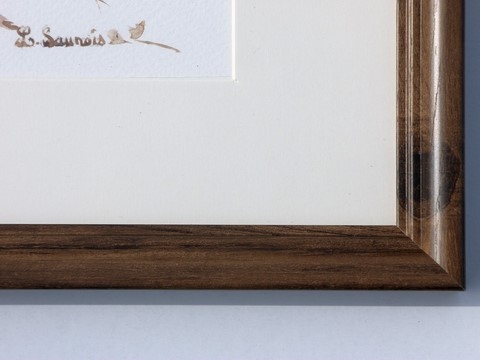 Dessin de bécasse (cadre) réalisé à la plume du peintre par Laurence Saunois, peintre animalier