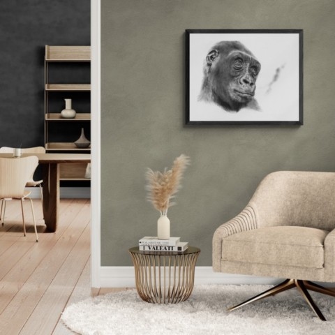  Charcoal portrait artwork of a gorilla displayed in a living room – wildlife artist Laurence Saunois