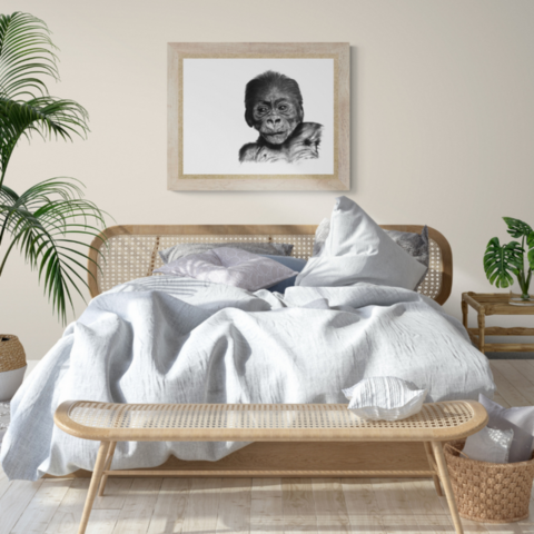  Charcoal drawing of a baby gorilla portrait displayed in a bedroom above a bed – wildlife artist Laurence Saunois