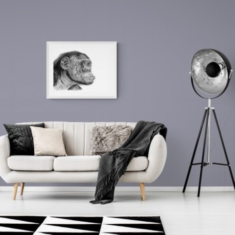 Painting (charcoal drawing) of a chimpanzee portrait in a room setting above a modern sofa