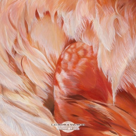 Détails d'une peinture de plumes : peintre animalier, Laurence Saunois
