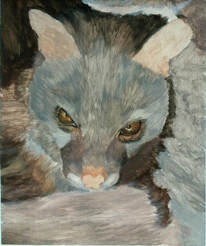 Step 1 - Genet painting by Laurence Saunois, wildlife artist