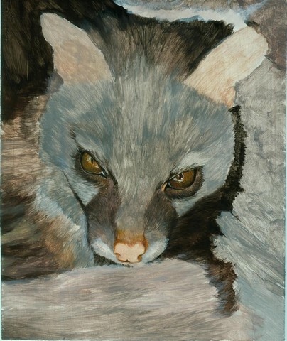 Step 2 - Genet painting by Laurence Saunois, wildlife artist
