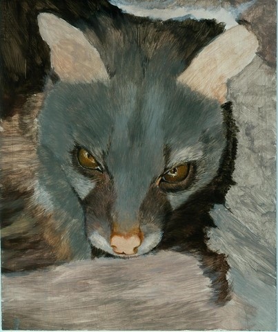 Step 3 - Genet painting by Laurence Saunois, wildlife artist
